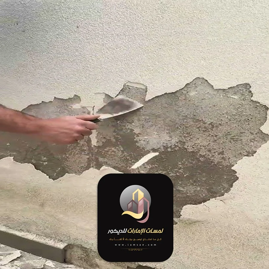 علاج رطوبة جدران المنزل أبوظبي